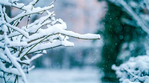 Prognoza Meteo Anm Joi Martie Vreme Nchis I Precipita Ii