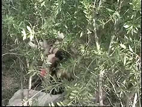 Perverted Stories Explore The Fantasy American Retro Porn XHamster