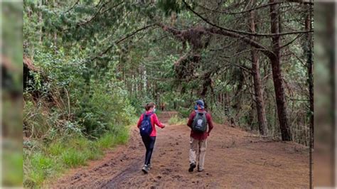 ¿ya Conoces Los Senderos Ecológicos De Bogotá Observatorio Ambiental De Bogotá