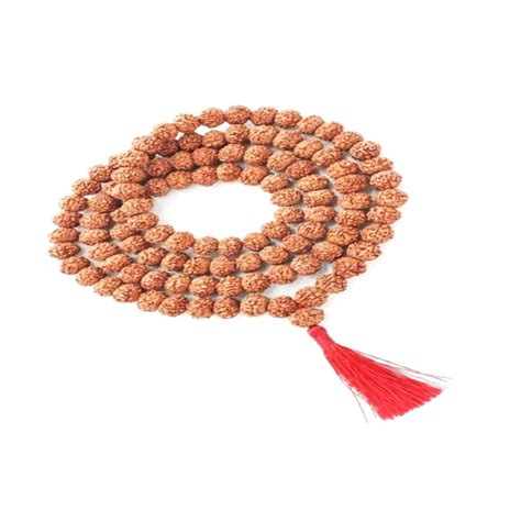 Mukhi Rudraksha Mala Indonesian Java Beads Asli Rudraksha