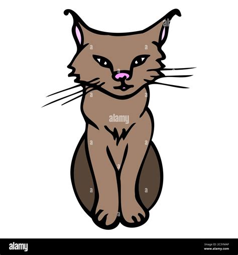 Lynx coloré dessiné à la main Style de dessin animé lynx avec contour