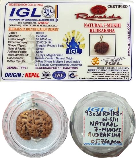 Generic Mukhi Rudraksha Original Certified Aaa Plus By Shree