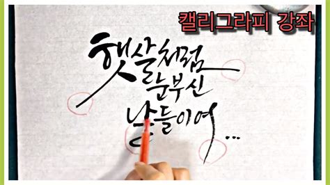 캘리그라피강좌 부드럽게 흘려쓰는 글씨체 Youtube