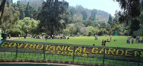 A Guide To Government Botanical Garden, Ooty | Trip101