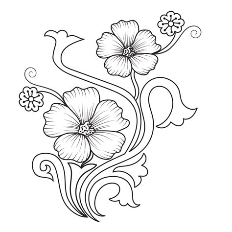 Set Of Differents Flower Line On White Background Flowers Drawing With