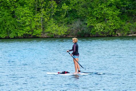 4 conseils pour pratiquer le paddle sans détruire la nature - La Salamandre
