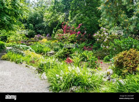 A Flower Garden With A Wide Varity In Seatac Washington Stock Photo