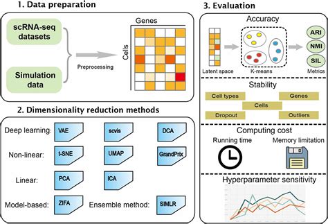 Dimensionality Reduction FineProxy Glossary