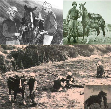 March 26 1953 The Battle For Outpost Vegas Began During The Korean