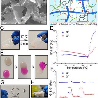 Morphology And Structural Scheme And Multi Properties Characterization