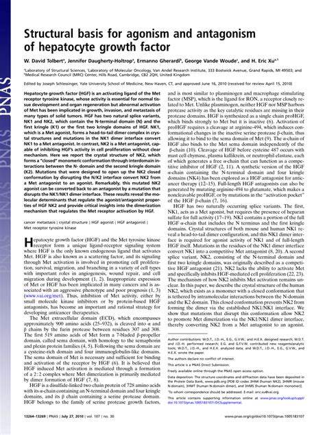 Pdf Structural Basis For Agonism And Antagonism Of Hepatocyte Growth