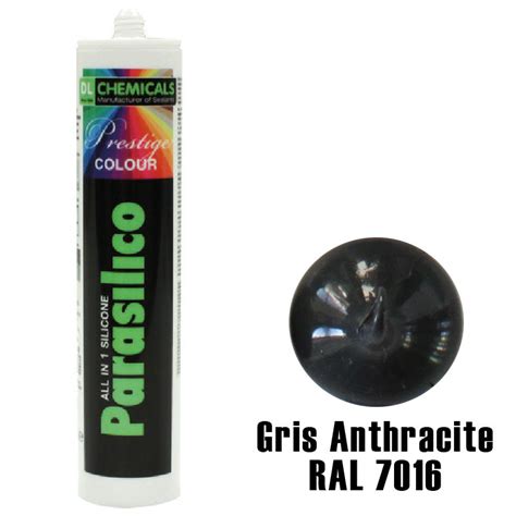 Silicone Parasilico Prestige Dl Chemicals Gris Anthracite Ral