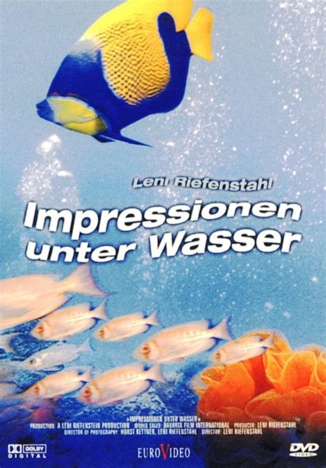 Impressionen Unter Wasser Dvd Oder Blu Ray Leihen Videobuster De