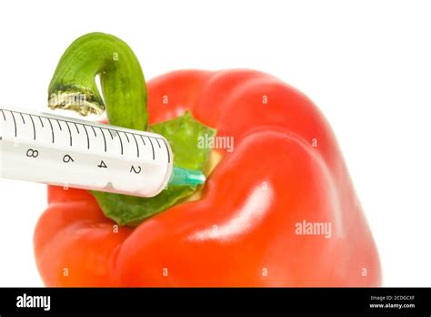 Genetically Modified Products Pepper And Syringe Stock Photo Alamy