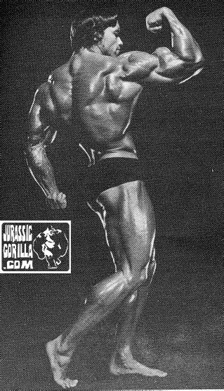 Arnold Schwarzenegger 034 Built Report