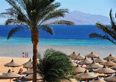 600 M Of Silky White Sand Hotel Baron Palms Sharm El Sheikh Shark