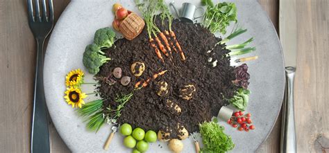 How to Cook for Garlic & Onion Haters: Alternatives & Substitutes