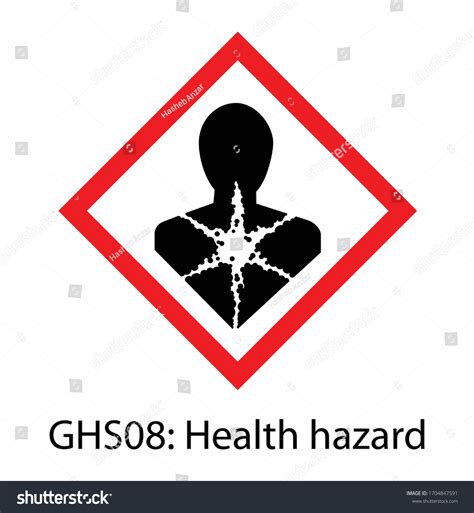 Health Hazard Ghs Pictogram Isolated Vector Stock Vector (Royalty Free ...