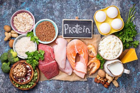 Makanan Tinggi Protein Untuk Daya Tahan Tubuh Elora