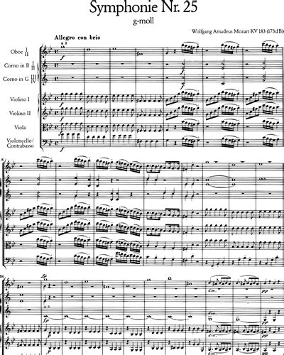 Symphonie Nr 25 G Moll KV 183 173dB Violin 1 Sheet Music By