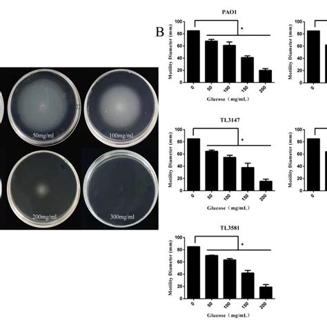 Hypertonic Glucose Showed A Concentration Dependent Inhibitory Effect