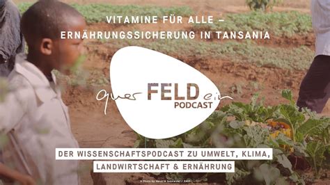 REINGEHÖRT querFELDein Podcast 23 Vitamine für alle