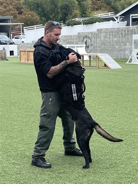 Jefferson County Sheriffs Office In Colorado Has Two New K 9 Units