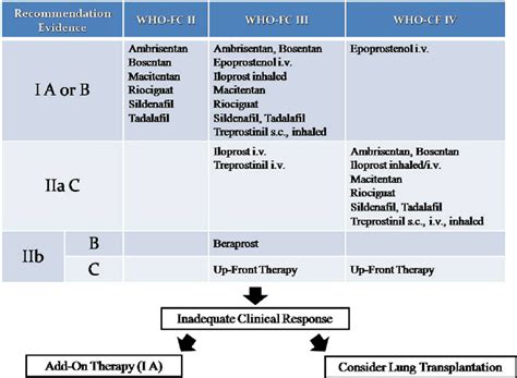 Pulmonary Hypertension Treatment Chart 2015 Escers Guidelines For The