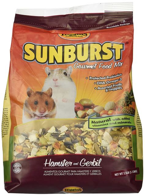 What Do Gerbils Eat? - Small Furry Pets