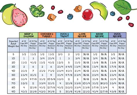 Feeding Chart for Puppies - The Simple Food Project