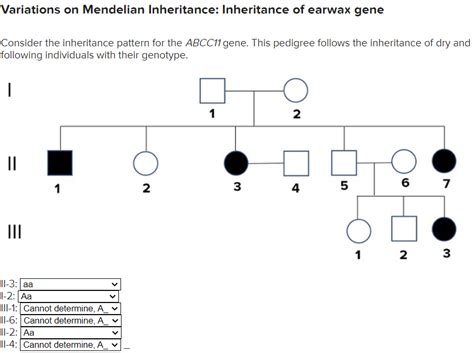 Solved Variations On Mendelian Inheritance Inheritance Of Chegg