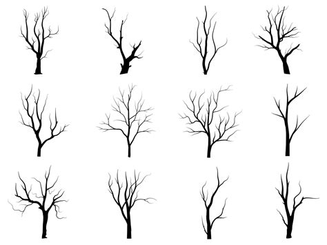 Black Branch Tree Or Naked Trees Silhouettes Set Hand Drawn Isolated