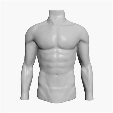 Male Mannequin Torso D Model Cgtrader