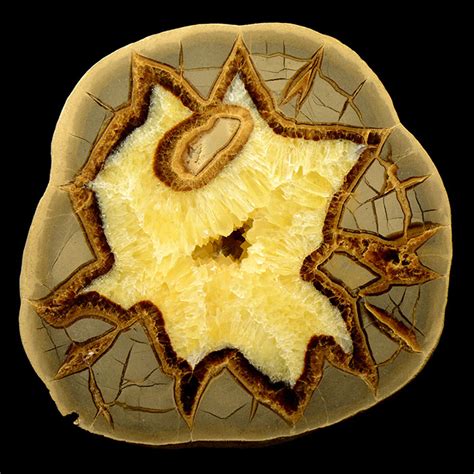 What Is Septarian