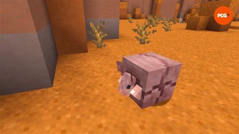 Minecraft Armadillo Guide And How To Make Wolf Armor