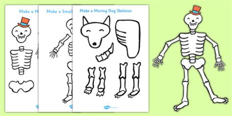 Make A Moving Skeleton Support Teaching On Funnybones