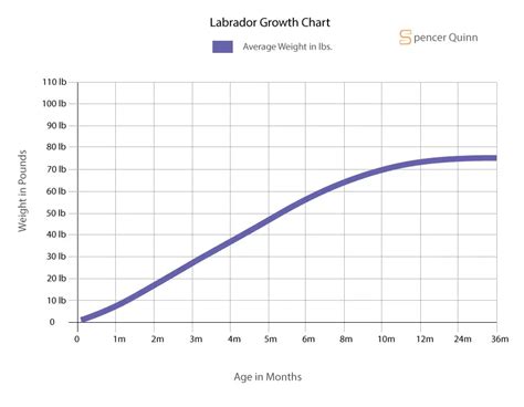 How Much to Feed a Labrador Puppy: Feeding Schedule, Growth Chart, FAQs ...