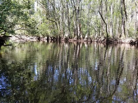 Aiken State Park - Parks Guidance