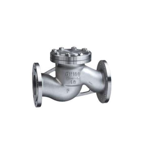 DIN Flange Stainless Steel Lift Check Valves BC Technology Pte Ltd SG