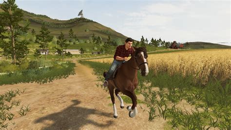 Landwirtschafts Simulator 20 Gameinfos