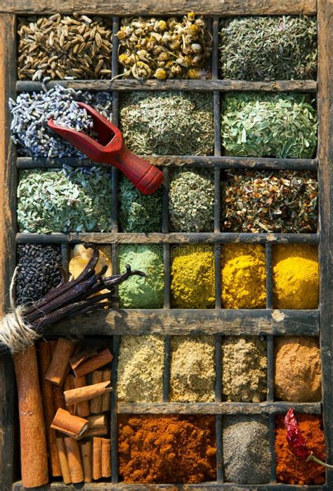 Dried Herbs Stock Photo Image Of Background Isolated 8509274