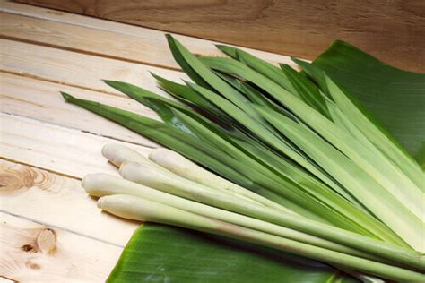 20 Benefits Of Lemongrass You Need To Know Health Care For You