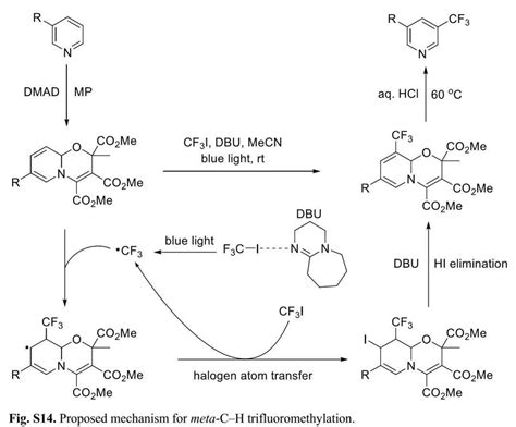 Studer组Science吡啶化合物的自由基和离子型间位C H官能团化 反应 Fig 选择性