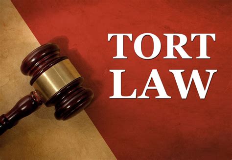 Tort Law Definition Examples Type Of Torts