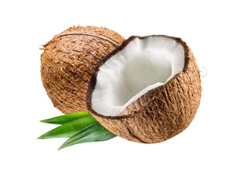 Coconut Png Pngs For Free Download