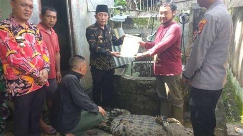 Penyebab Harimau Sumatera Masuk Kampung Dan Timbulkan Konflik Manusia