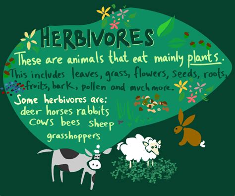 Herbivore - Definition and Examples - Biology Online Dictionary