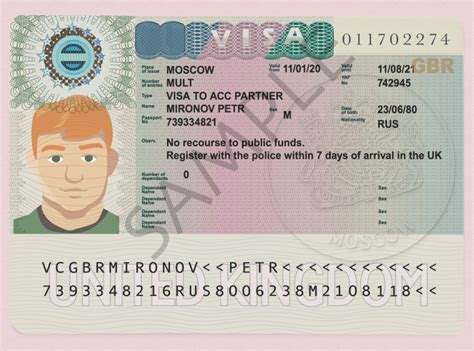 VISA vignette document by Catherine🇺🇦 on Dribbble