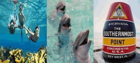 Florida Keys Attractions Guide To Florida Keys Tourist Attractions