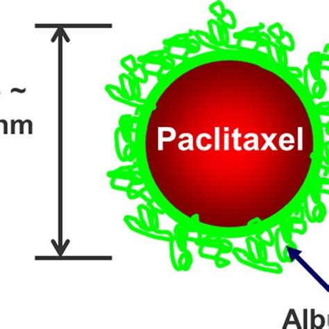 Abraxane Nab Paclitaxel Schematic Download Scientific Diagram